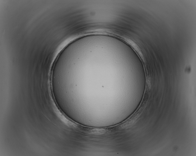 X0000090461482200708031229