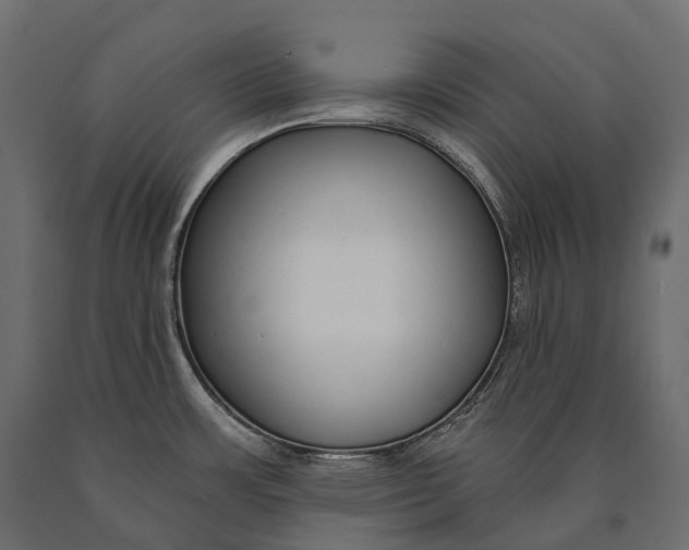 X0000090461483200708031229