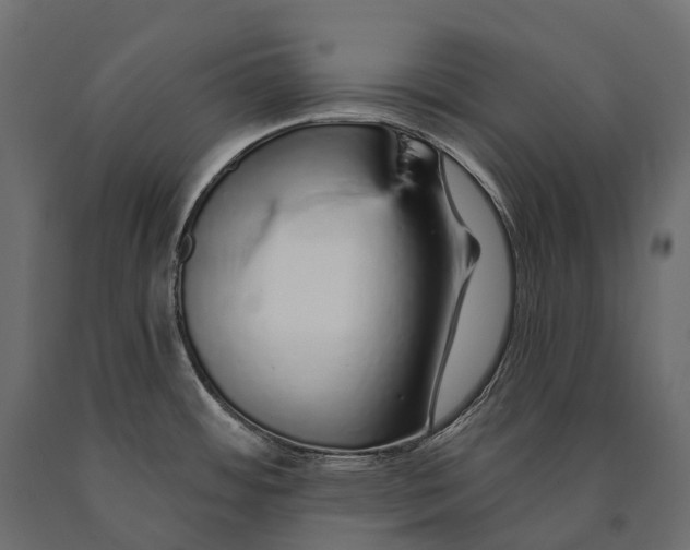 X0000090461484200708031229