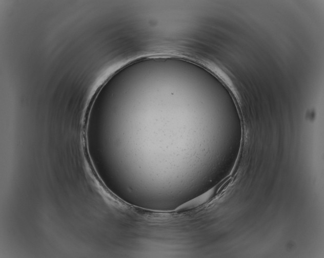 X0000090461485200708031229