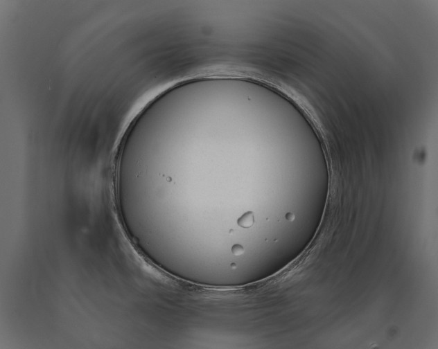 X0000090461486200708031229