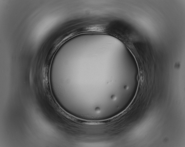 X0000090461487200708031229