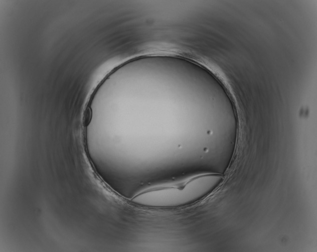 X0000090461488200708031229