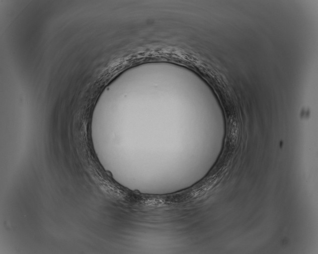X0000090461489200708031228