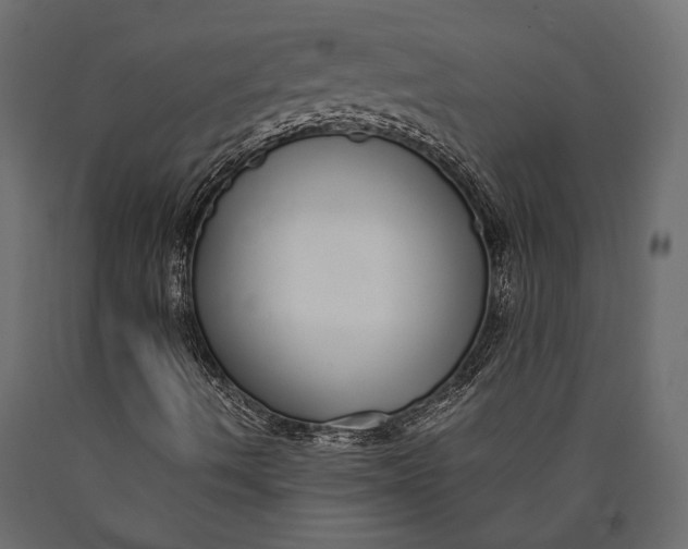 X0000090461490200708031228