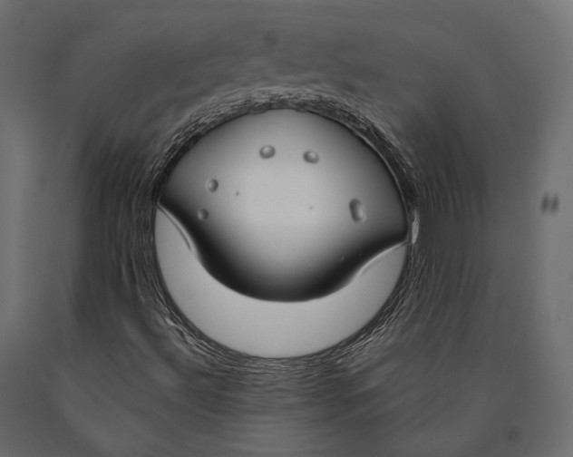 X0000090461492200708031228