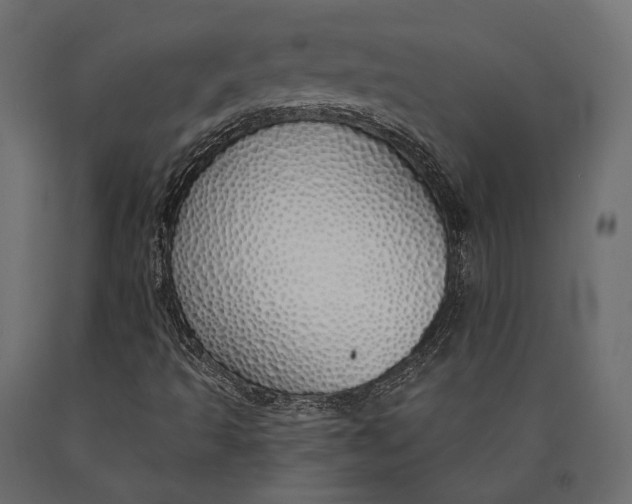 X0000090461493200708031229