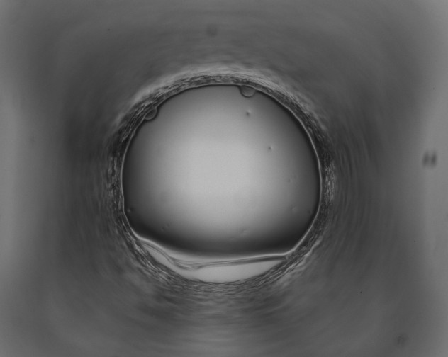 X0000090461494200708031229