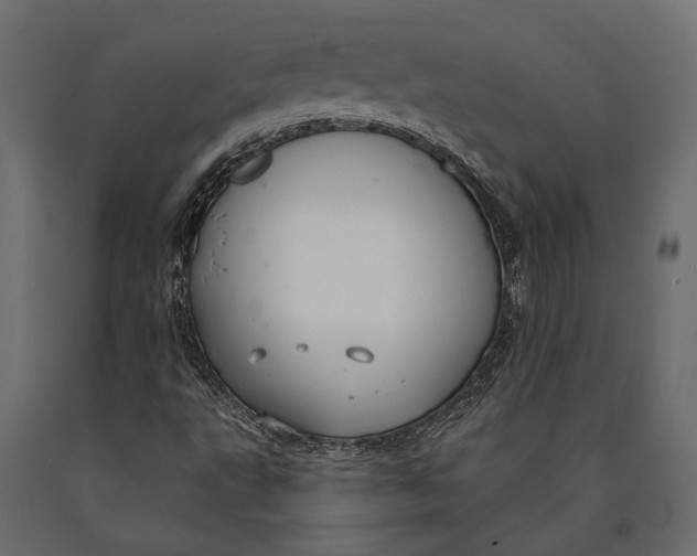 X0000090461495200708031229