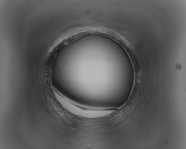 X0000090461496200708031229