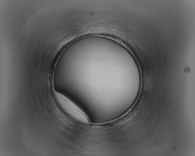X0000090461497200708031229