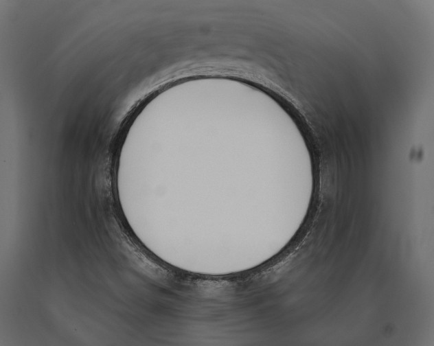 X0000090461498200708031229