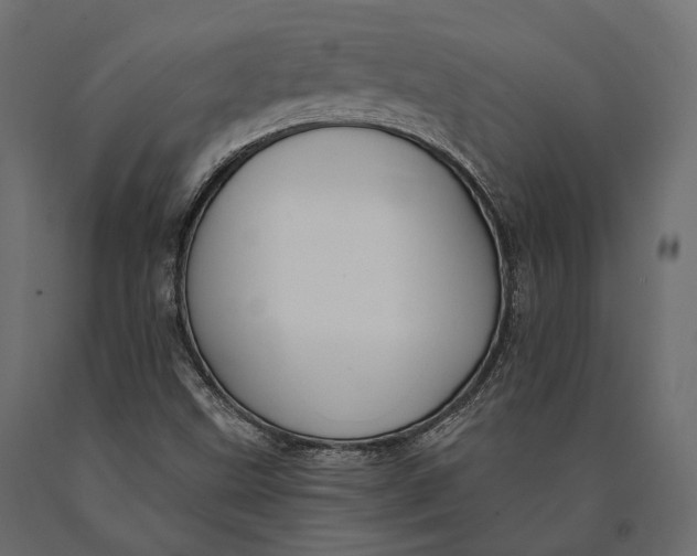 X0000090461499200708031229