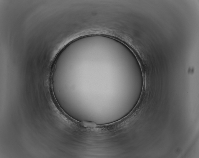 X0000090461500200708031229
