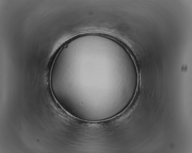 X0000090461501200708031229