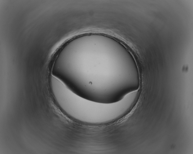 X0000090461502200708031229