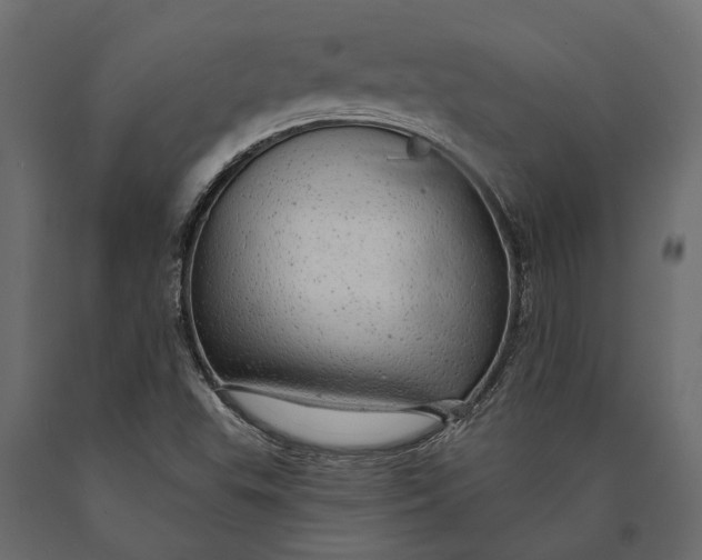 X0000090461503200708031229
