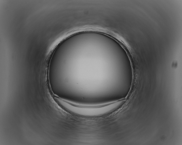 X0000090461504200708031229