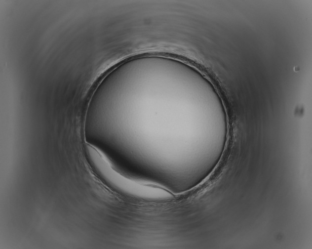 X0000090461505200708031229