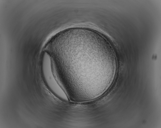 X0000090461506200708031229