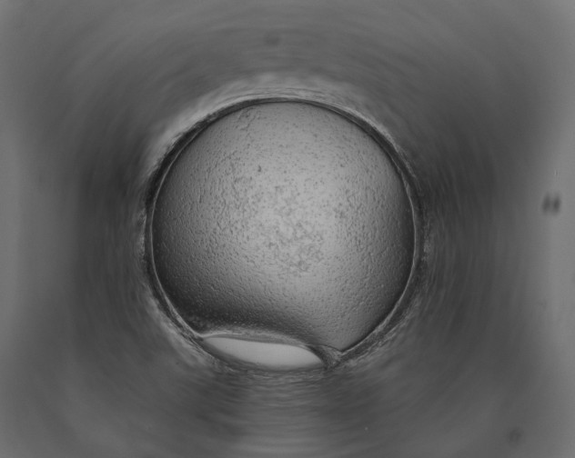 X0000090461507200708031229