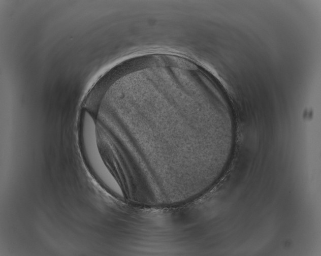 X0000090461508200708031229