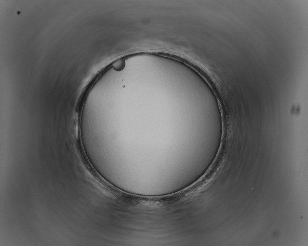 X0000090461509200708031229