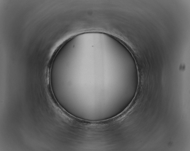 X0000090461510200708031229