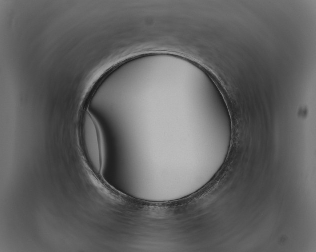 X0000090461511200708031229