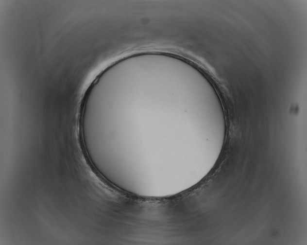 X0000090461512200708031229