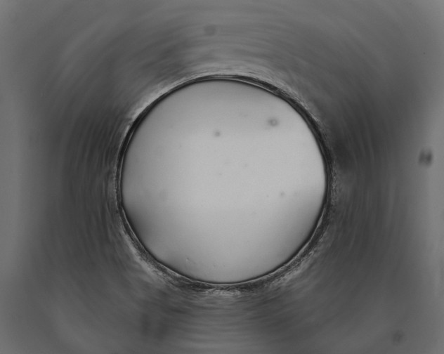 X0000090461513200708031229