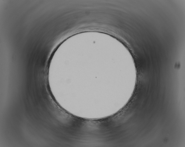X0000090461514200708031229