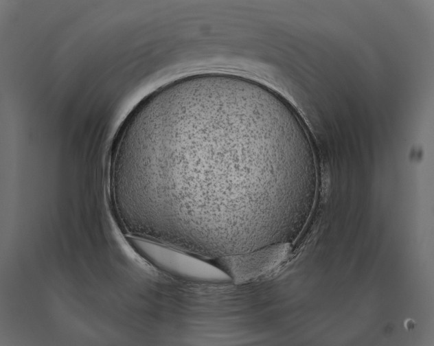X0000090461515200708031229
