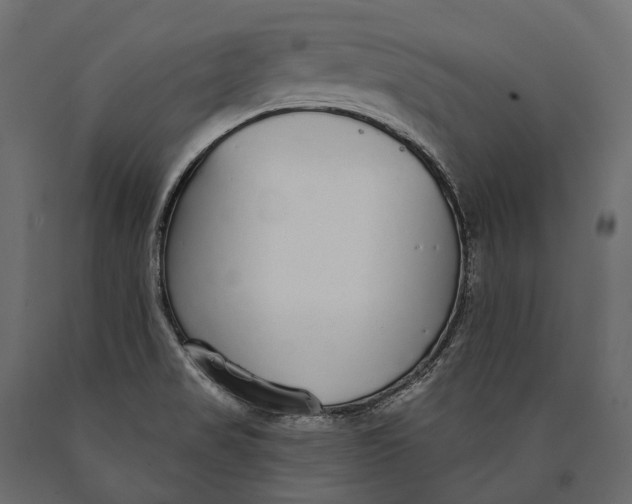 X0000090461517200708031229