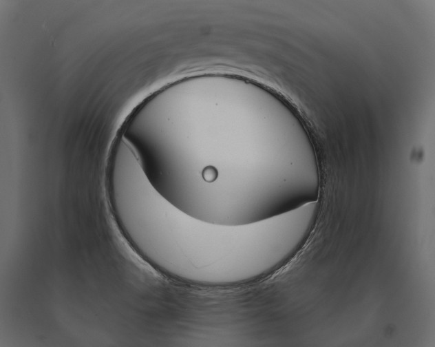 X0000090461518200708031229