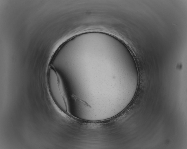 X0000090461519200708031229