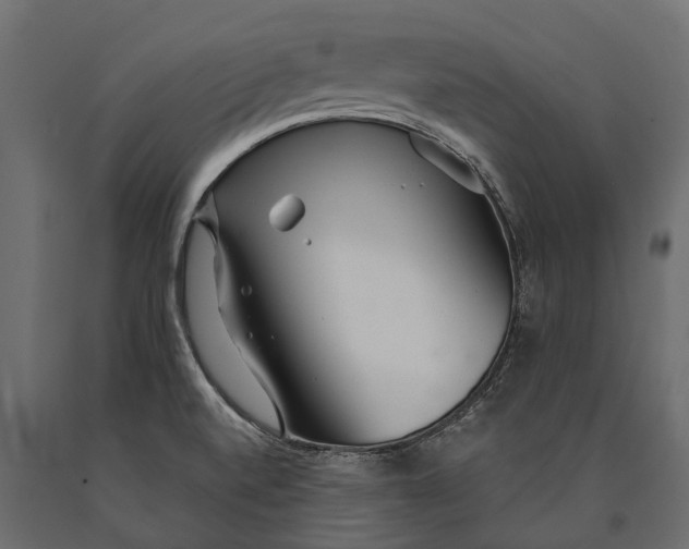 X0000090461520200708031229