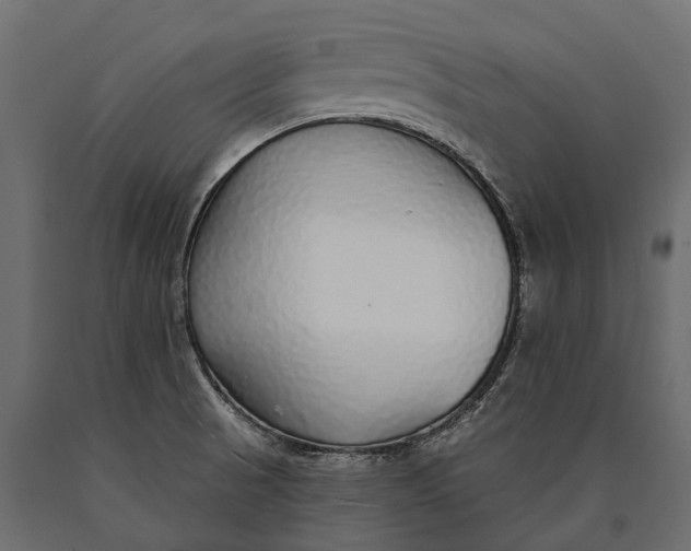 X0000090461521200708031229