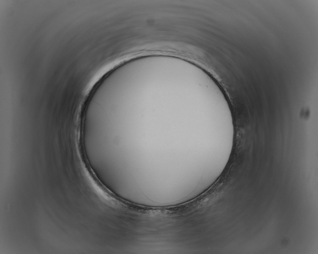 X0000090461523200708031229