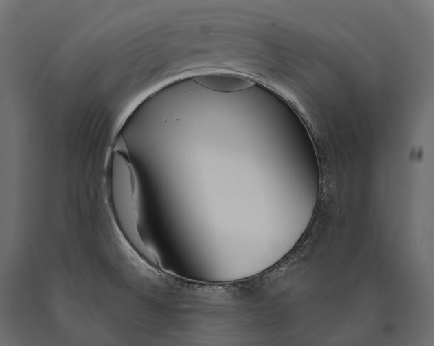 X0000090461524200708031229