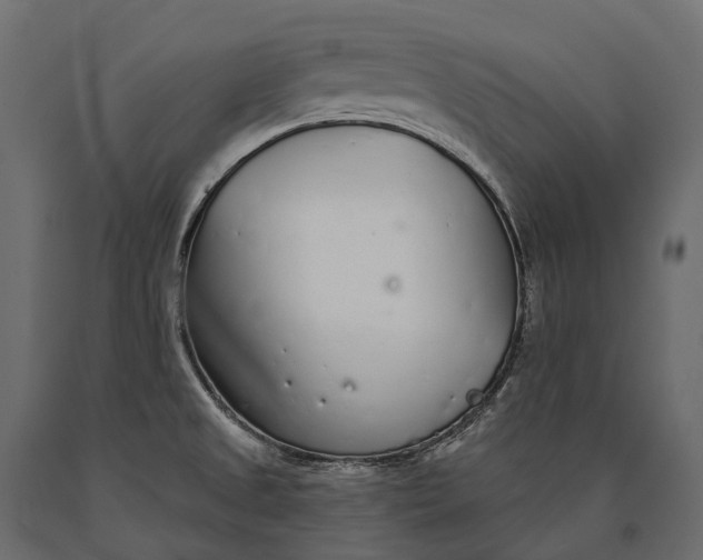 X0000090461525200708031229