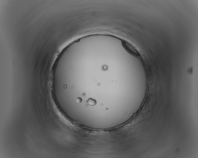 X0000090461526200708031229