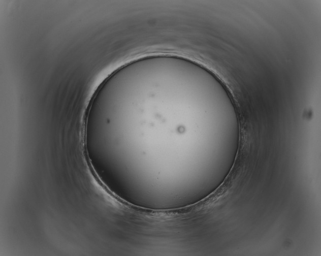 X0000090461527200708031229