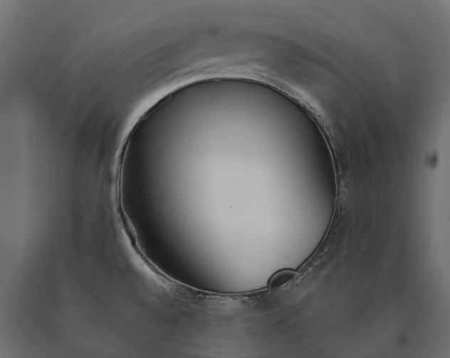 X0000090461528200708031229