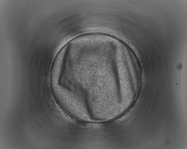 X0000090461529200708031229