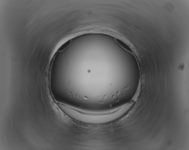 X0000090461530200708031229