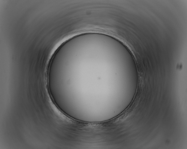 X0000090461531200708031229