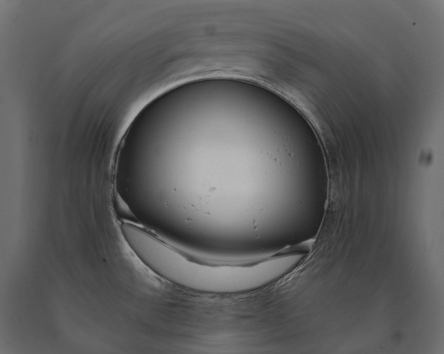 X0000090461532200708031229