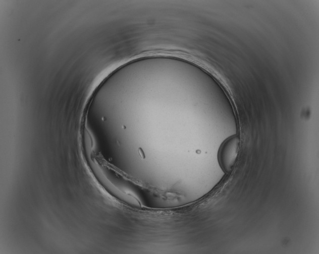 X0000090461533200708031229