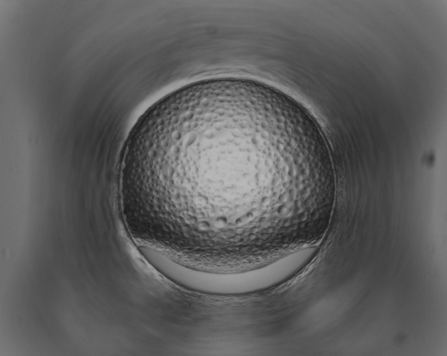 X0000090461534200708031229